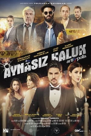 Poster Aynasız Haluk 2022