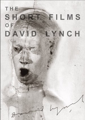 Image The Short Films of David Lynch