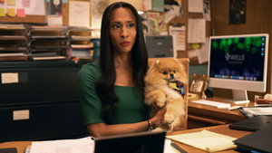 Loot: 3×2, episod online,watch this episode