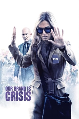 Poster Our Brand Is Crisis 2015