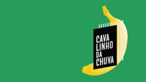 poster Cavalinho da Chuva