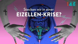 Stecken wir in einer Eizellen-Krise?