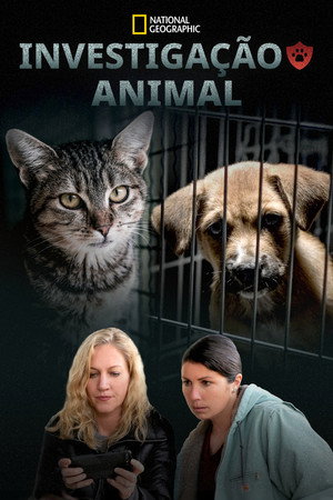 Investigação Animal