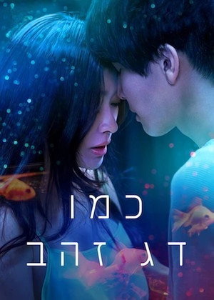 Image כמו דג זהב