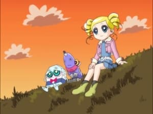 Powerpuff Girls Z The Write and the Wrong Way / Flower Power
