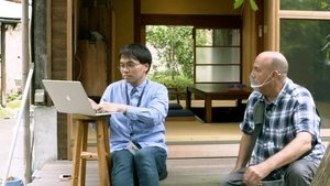 Journeys in Japan: 11×16