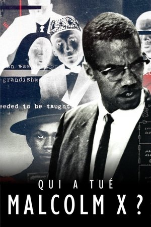 Qui a tué Malcolm X ? movie poster