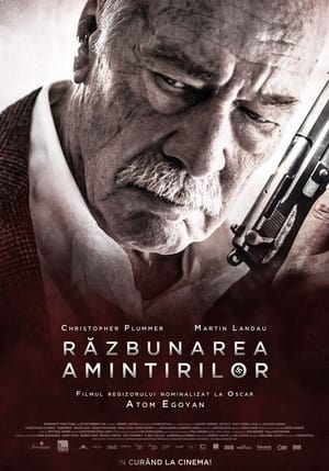 Poster Răzbunarea amintirilor 2015