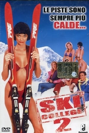 Poster Ski College 2 1994