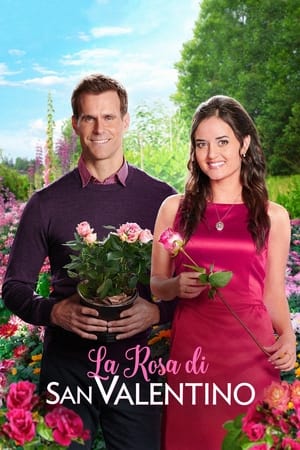 La rosa di San Valentino 2018