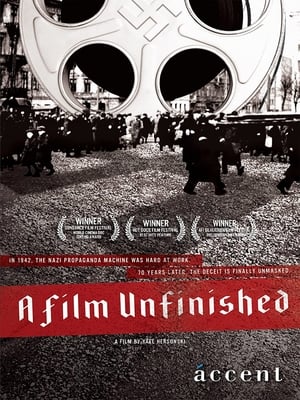 Poster Nedokončený film 2010
