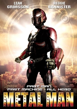 Poster Metal Man (2008)