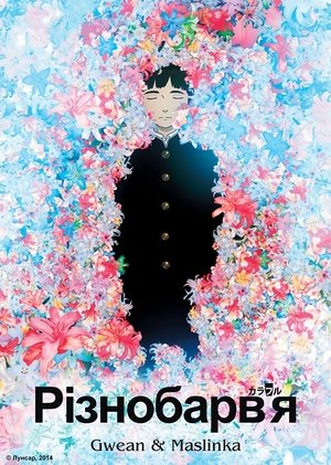 Image Різнобарв’я