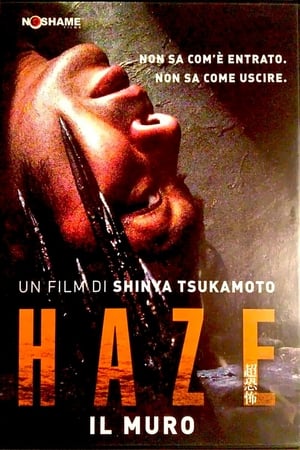 Poster di Haze - Il muro