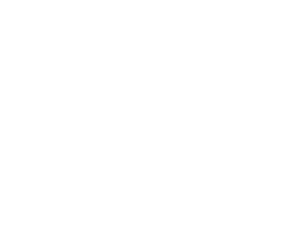 Ever Night