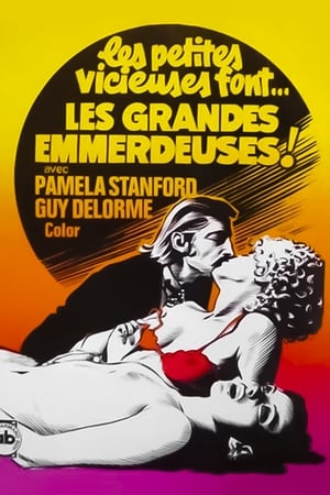 Les emmerdeuses poster