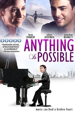 Poster Anything Is Possible 2013