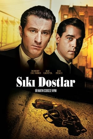 Poster Sıkı Dostlar 1990