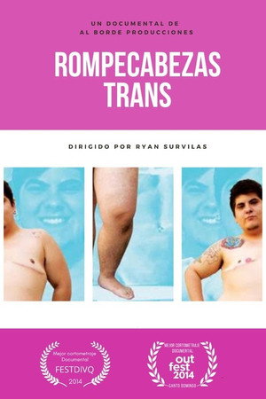 Trans-puzzle poster