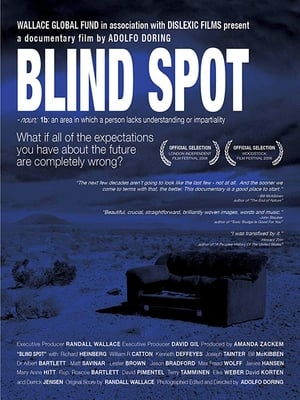 Blind Spot poster