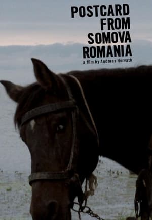 Postcard from Somova, Romania