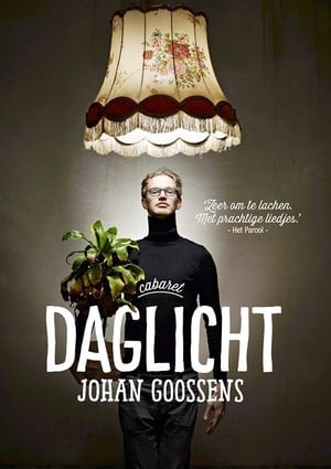 Poster Johan Goossens: Daglicht 2017