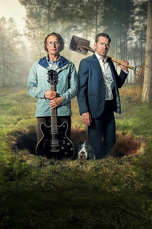 poster The Last Viking