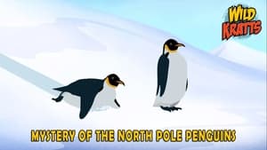 Wild Kratts Mystery of the North Pole Penguin