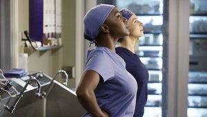 Grey’s Anatomy 11 x Episodio 14