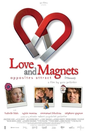 Poster Love and Magnets (2004)