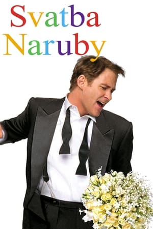 Poster Svatba naruby 1997