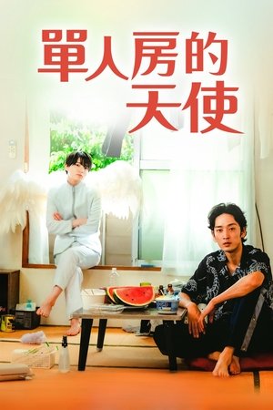 Image 单人房的天使