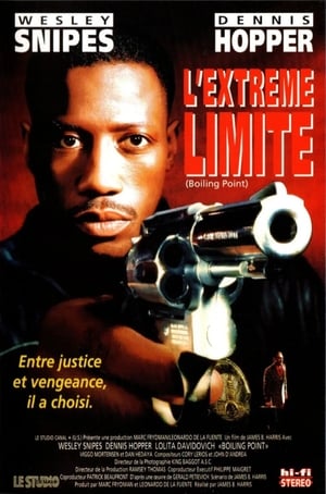 Poster L'Extrême Limite 1993