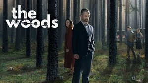 poster The Woods