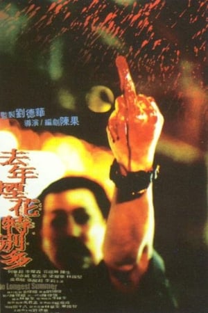 Poster 去年煙花特別多 1998