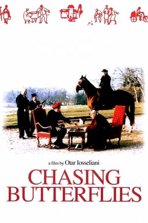 Chasing Butterflies poster