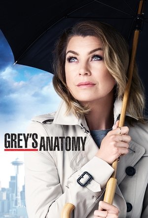 poster Grey's Anatomy