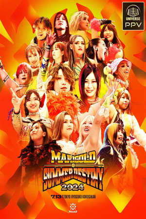 Marigold Summer Destiny 2024 6