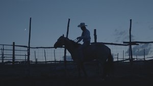 Người Lái - The Rider (2017)