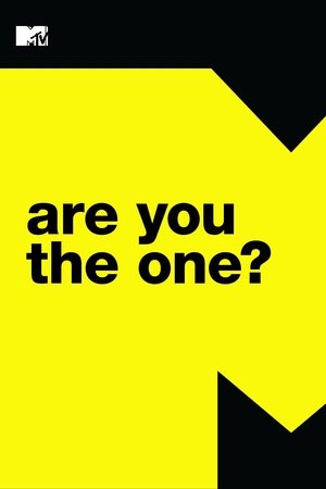 Are You The One? (2014)