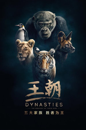 Dynasties 34