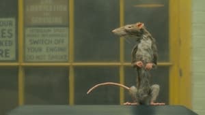 The Rat Catcher (2023)
