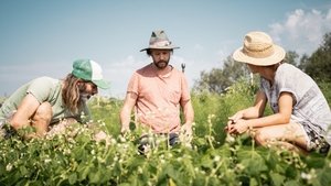 A Agricultura do Futuro