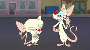 Animaniacs Run Pinky Run