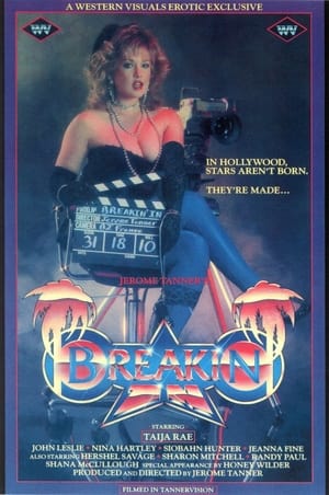 Poster Breakin In 1986