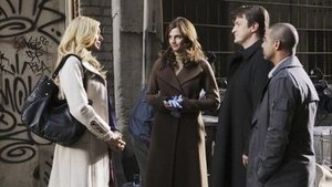 Castle: 3×11