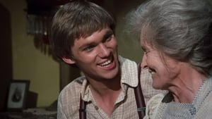 Die Waltons: 2×1