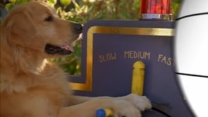 Air Bud: Spikes Back