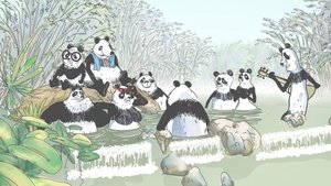 Pandas dans la brume