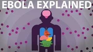 Kurzgesagt - In a Nutshell The Ebola Virus Explained — How Your Body Fights for Survival